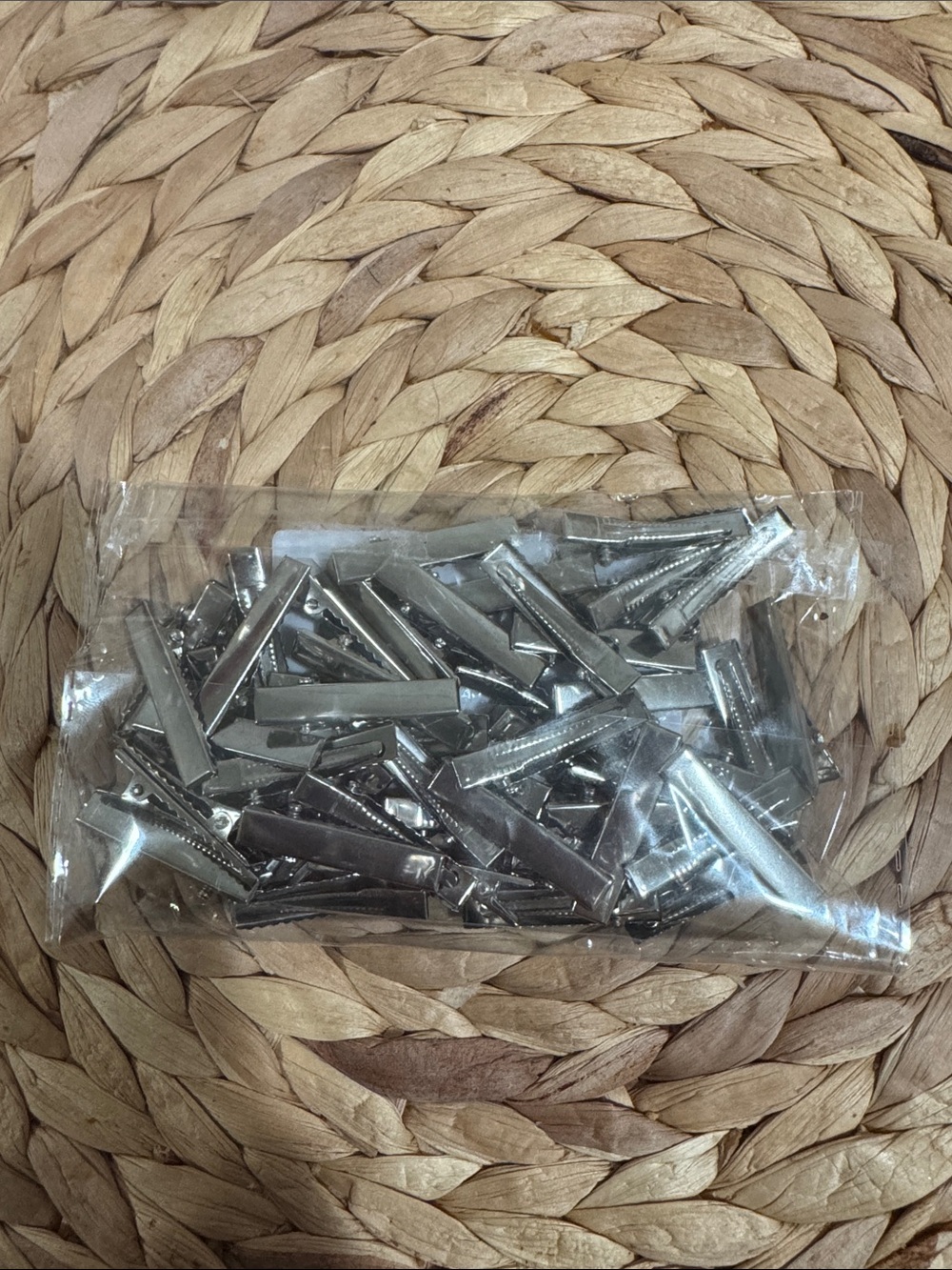 Bulk Pack of Silver Alligator Hair Clips